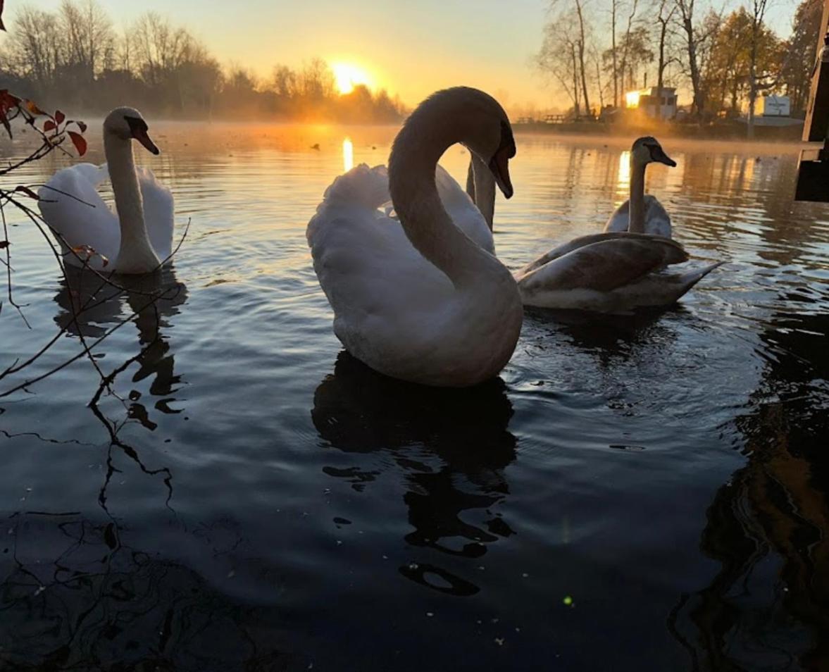 Hotel Breezes Park Acton Zewnętrze zdjęcie