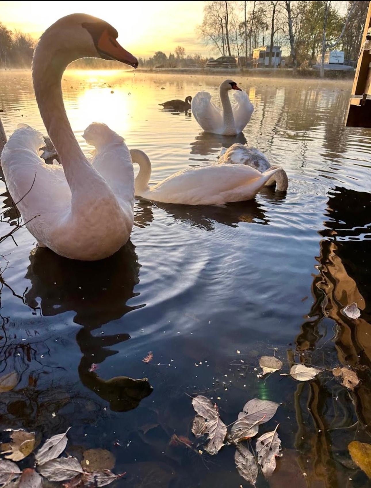 Hotel Breezes Park Acton Zewnętrze zdjęcie